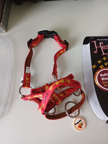 Dogmatic head collar - dogmatic,