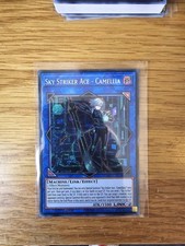 L26D-ENS31 Sky Striker Ace -