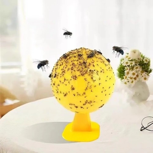 Fruit fly balls - balls, ball