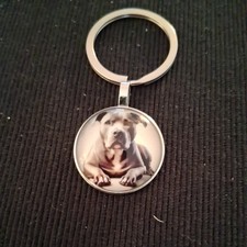 Staffy dog keyring.