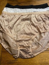 3 Hanes Nylon Brief Panties