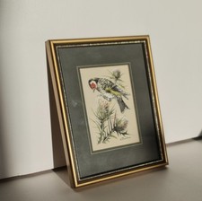 Goldfinch - Genuine Woven Silk