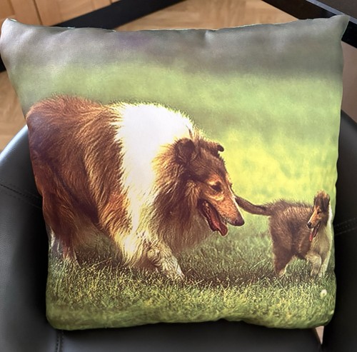Lassie dog pup cushion - pup,