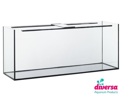 Diversa aquarium fish tank - fish,