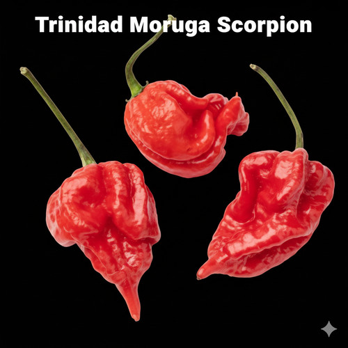 Trinidad moruga scorpion - trinidad,