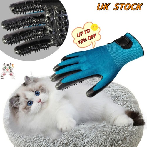 Horse pet dog - horse, grooming