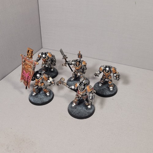 Paladins painted grey knights - grey,