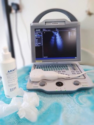 Veterinary grade ultrasound - grade,