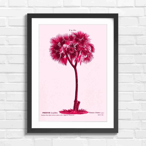 Vintage date palm tree - vintage,