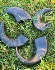 4 Buffalo Bull Horn Small