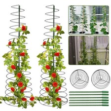 Plant Support Stakes Tomato