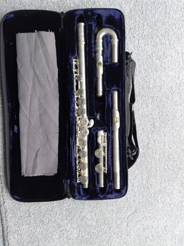 Silver plated flute - flute, trevor