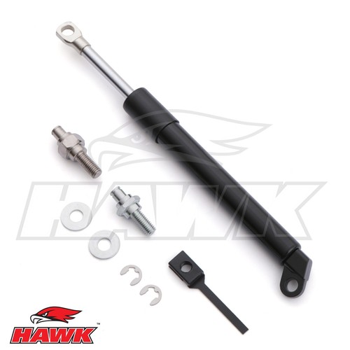 Rear tailgate strut - tailgate, lift