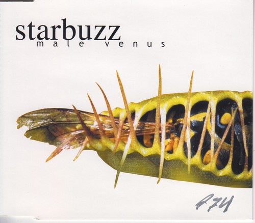 Starbuzz male venus - -,