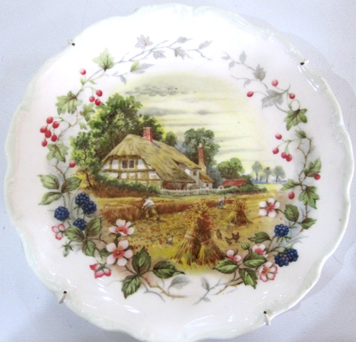 Royal albert bone china plate - albert,