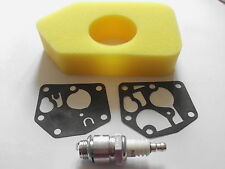 Hayter Spirit Mower Tune up