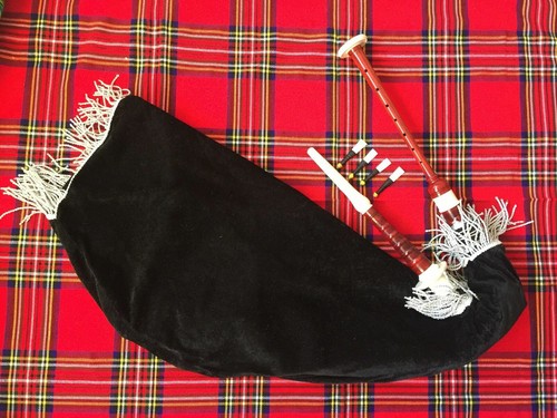 Goose bagpipe practice - goose,