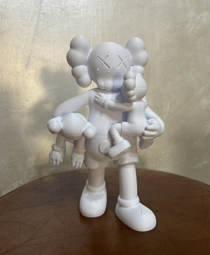 Family kaws baby - 2,