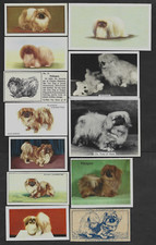 17 Different Vintage PEKINGESE