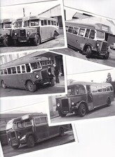 RED & WHITE (2) - COLLECTION -