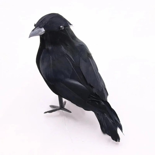 Realistic black crow halloween - black,
