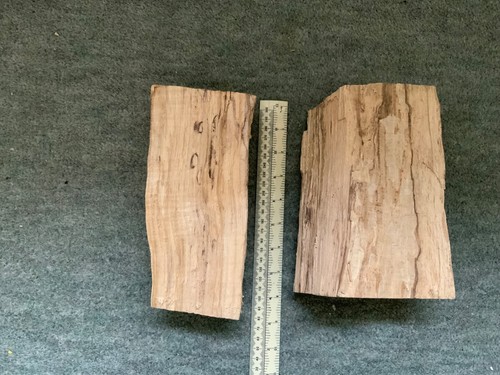 Spalted beech irregular - beech;,