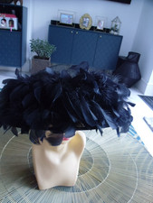 fabulous black feather