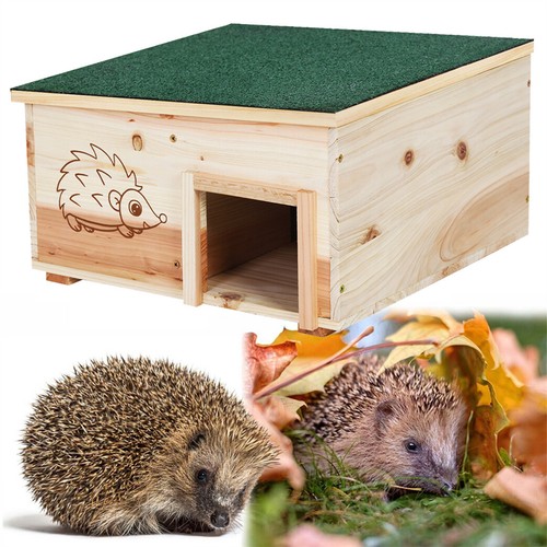 Hedgehog house solid wooden - solid,