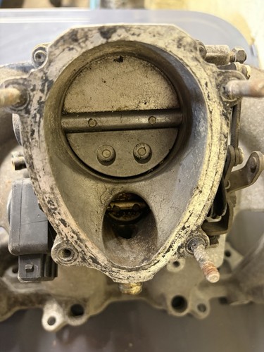 C20xe manifold - c20xe,