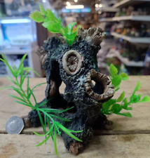 Small Tree Trunk Aquarium