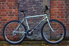 Diamond Back Topanga Mountain