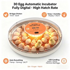 Incubators for Hatching Eggs