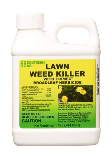 Southern lawn weed grass - lawn,