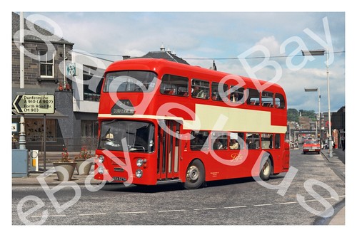 Bus photograph alexander fife - bus,