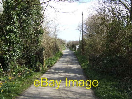 Photo 6x4 trelan gate - trelan,