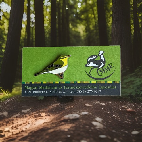 Mme pin badge - badge, warbler