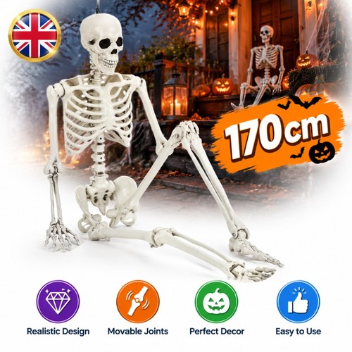 170cm giant life - giant, size
