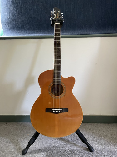 Woodstock acoustic electric - woodstock, acoustic/electric