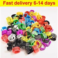 Customerized 100Pcs Birds Rings 8mm Leg Bands Pigeon Parrot Clip Rings Number