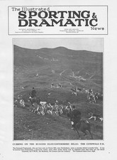 The Cotswold Foxhounds on