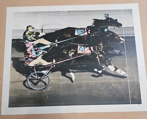 Vintage harness racing - harness, finish