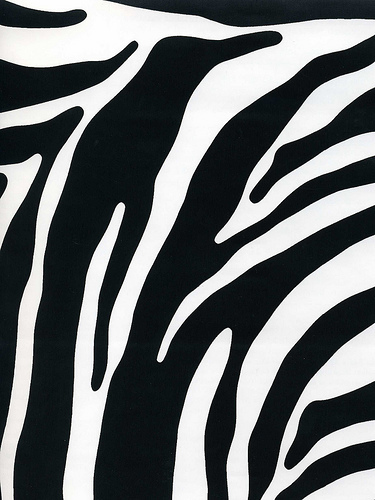 Meters 45cm fablon zebra - 2,