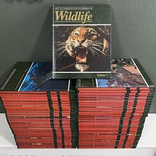 ORBIS  - The Illustrated