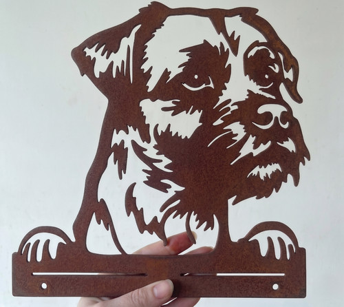 Rusty border terrier garden - terrier,