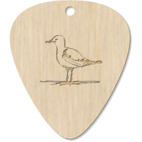 Seagull wooden guitar - x, 'seagull'