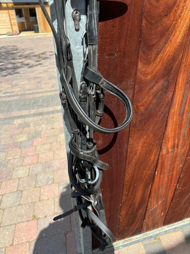 Dylon bridle equestrian size - dylon,