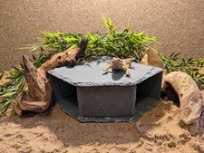 XL Large Personalised Laser Engraved Slate Corner Cave Hide Basking Reptile