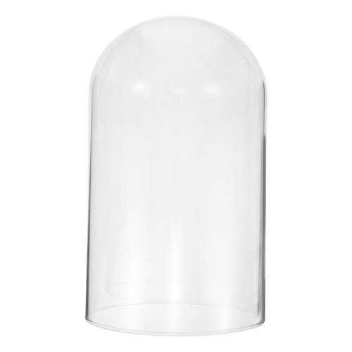 Transparent glass dome for - glass,