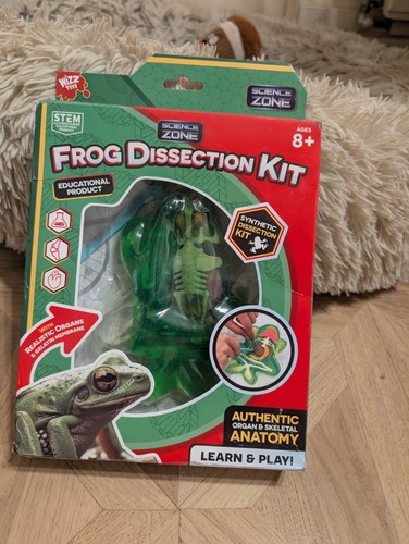 Frog dissection kit toy - frog,