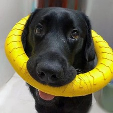 Indestructible Dog Ring Toy
